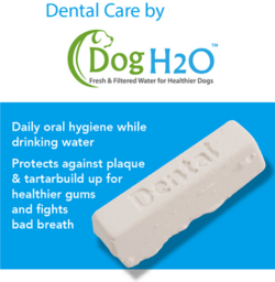 Dog H20 Vandautomat 4L