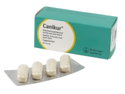Canikur Diet-Tabs 12 stk