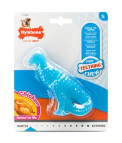 Nylabone Puppy Teething Dental Dino, S