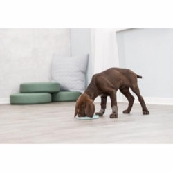 Junior Slikkeplade Small