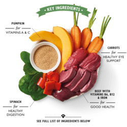 Lily's kitchen Beef Goulash Tin 400g