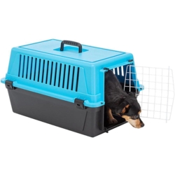 Transportkasse Atlas 10 - 48 cm