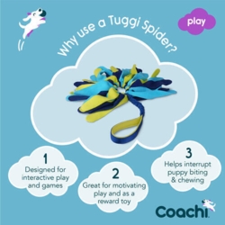 Coachi Tuggi Spider