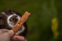 Fasan hapsere - Lola´s Favoritter