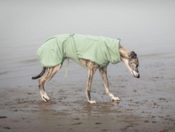 Paikka Tørredragt 2Go, Sage