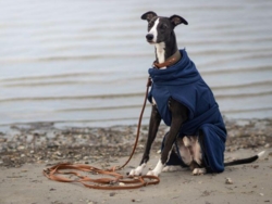 Paikka Tørredragt 2Go, Navy