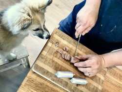 Meat & treat pocket hest 4x40g