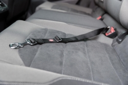 Trixie Reservestrop sikkerhedssele til biler - 45-70 cm (UDSOLGT)