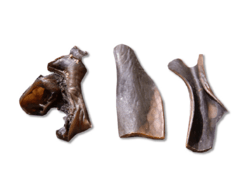 Snack'it Kamelhud 200g