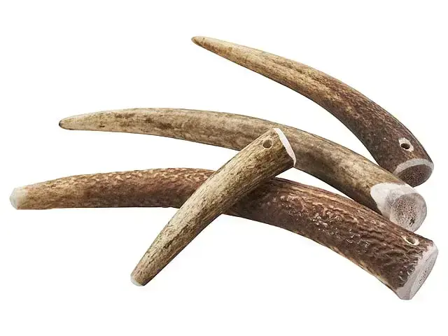 Gevir til hund (kastestang)