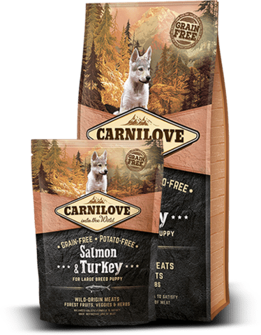 CarniLove Salmon & Turkey for Large Breed puppy 1,5 kg KORNFRI