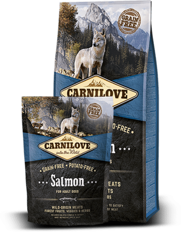 CarniLove Salmon for adult 12 kg (FRI FRAGT)