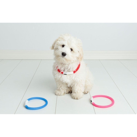 Flash Halsbånd Blå