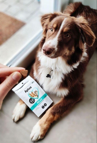 Aptus Relax 30 stk tyggebidder