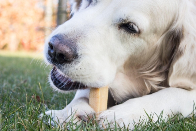 Yaki Tyggeben 120-139g