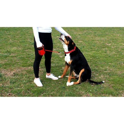 KONG Terrain Flex-Line Small 5 meter (Rød)