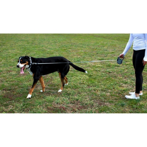 KONG Terrain Flex-Line Large 5 meter (Grå)