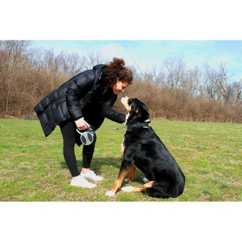 KONG Explore Flex-Line Large 7,5 meter (Grå)