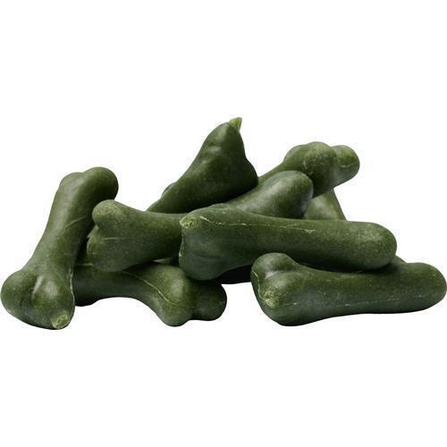 Companion Dental Bone