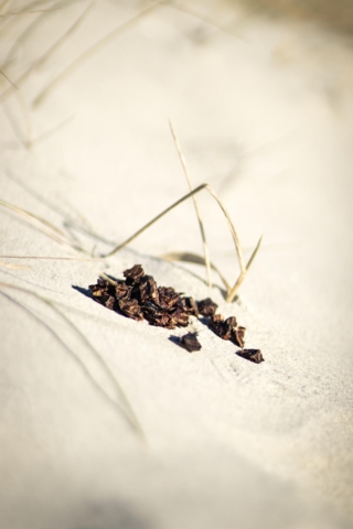 Lamme mini bites - Lola´s Favoritter