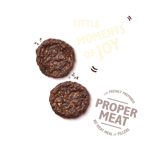 Lily's kitchen The Best Ever Beef Mini Burgers 70g