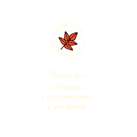 Lily's kitchen The Best Ever Beef Mini Burgers 70g