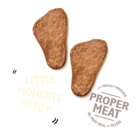 Lily's kitchen ﻿﻿﻿Simply Glorious Chicken Jerky 70g