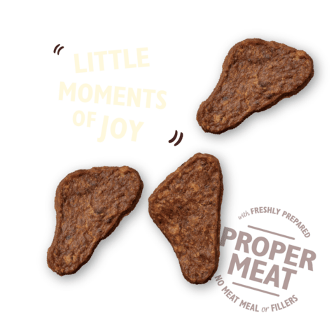 Lily's kitchen The Mighty Duck Mini Jerky 70g