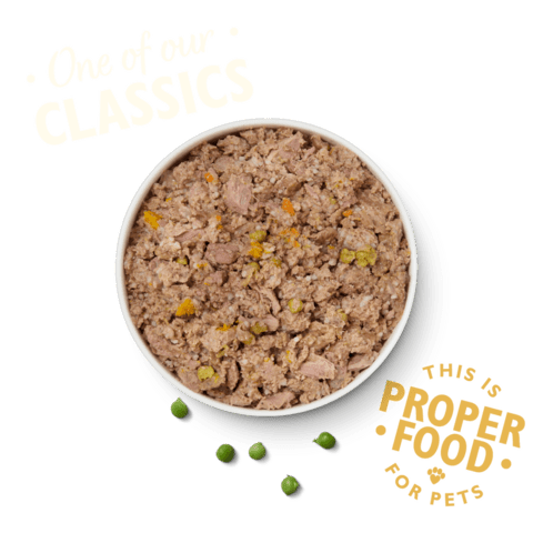 Lily's kitchen Chicken & Turkey Casserole 400g