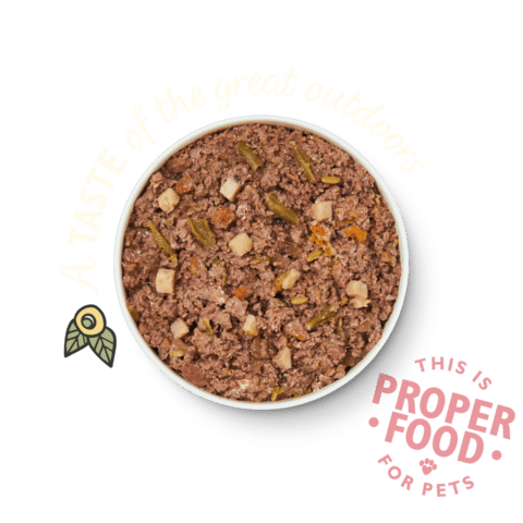 Lily's kitchen Wild Campfire Stew 400g