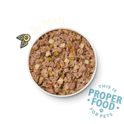 Lily's kitchen Fishy Fish Pie 400g