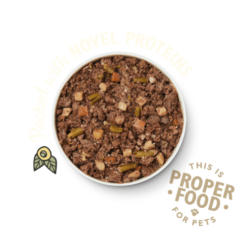 Lily's kitchen Venison and Wild Boar Terrine 400g