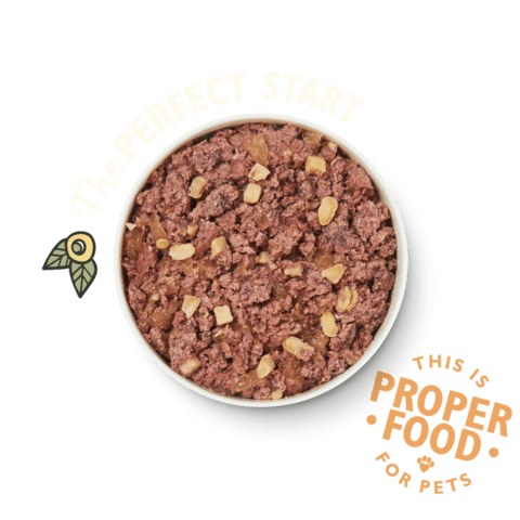 Lily's kitchen Great British Breakfast 400g