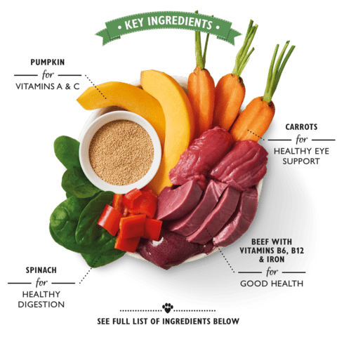 Lily's kitchen Beef Goulash Tin 400g