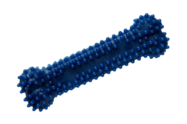 Nylabone Moderate Dental Chew Bone str. M