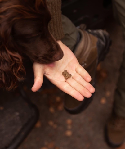 ESSENTIAL Salmon Mini Delights 100g