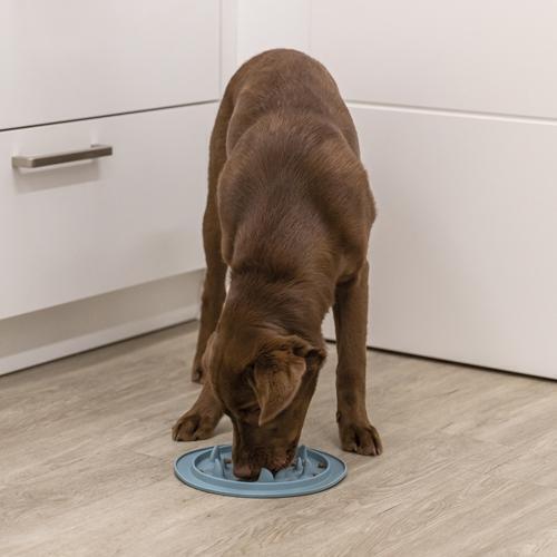 Trixie Slow Feed måtte