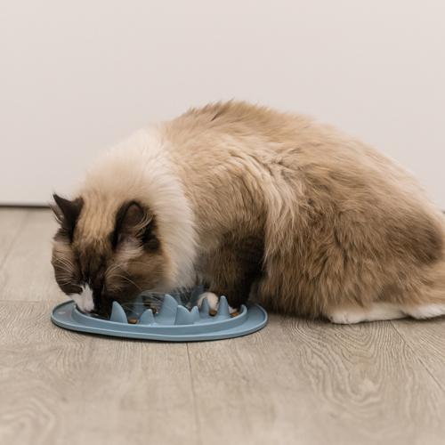 Trixie Slow Feed måtte