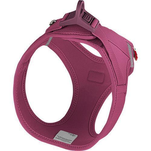 Curli Clasp Air Mesh Step-in Hundesele - Ruby