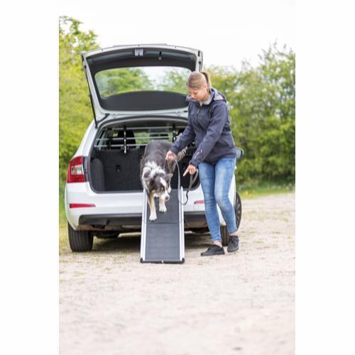 Foldbar hunderampe op til 75 kg hund