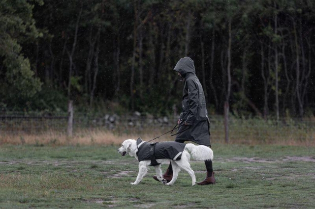 Hundedækken Pippi - Sort