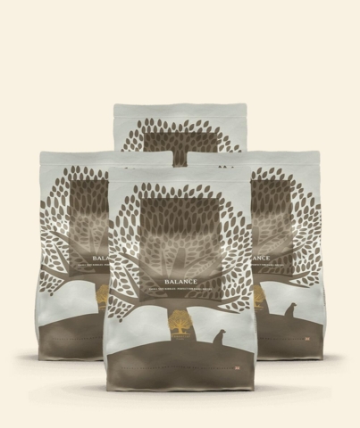 4 x 2,5 kg Small Size Essential Balance