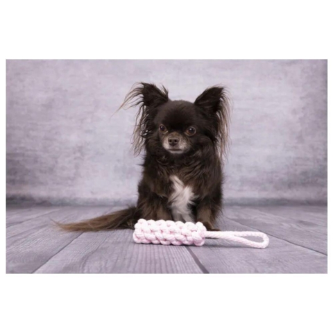 Mini hvalpe Reb dummy - pink