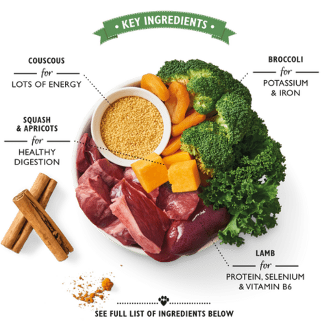 Lily's Kitchen Lamb Tagine