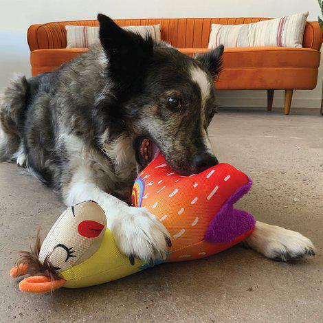 Kong Ballistic Vibez Llama