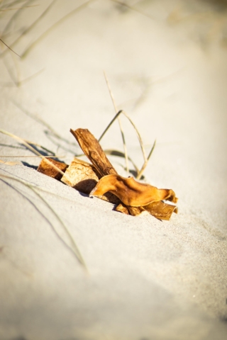 Heste Gumlere - Lola´s Favoritter