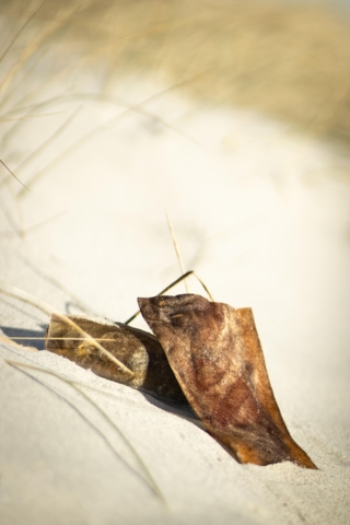 Okseknasere 4-5 stk - Lola´s Favoritter