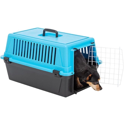 Transportkasse Atlas 10 - 48 cm