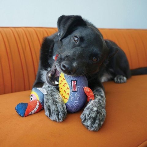 Kong Ballistic Vibes Birds