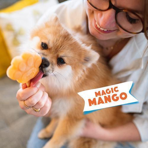 Smoofl Hundeis Mix - Mango